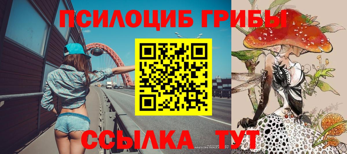 Галлюциногенные грибы мицелий  Вход с VPN  Галлюциногенные грибы GOLDEN TEACHER  Сергиев Посад 