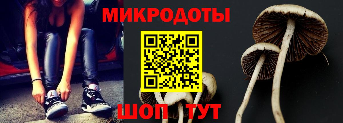 Галлюциногенные грибы Magic Shrooms Сергиев Посад